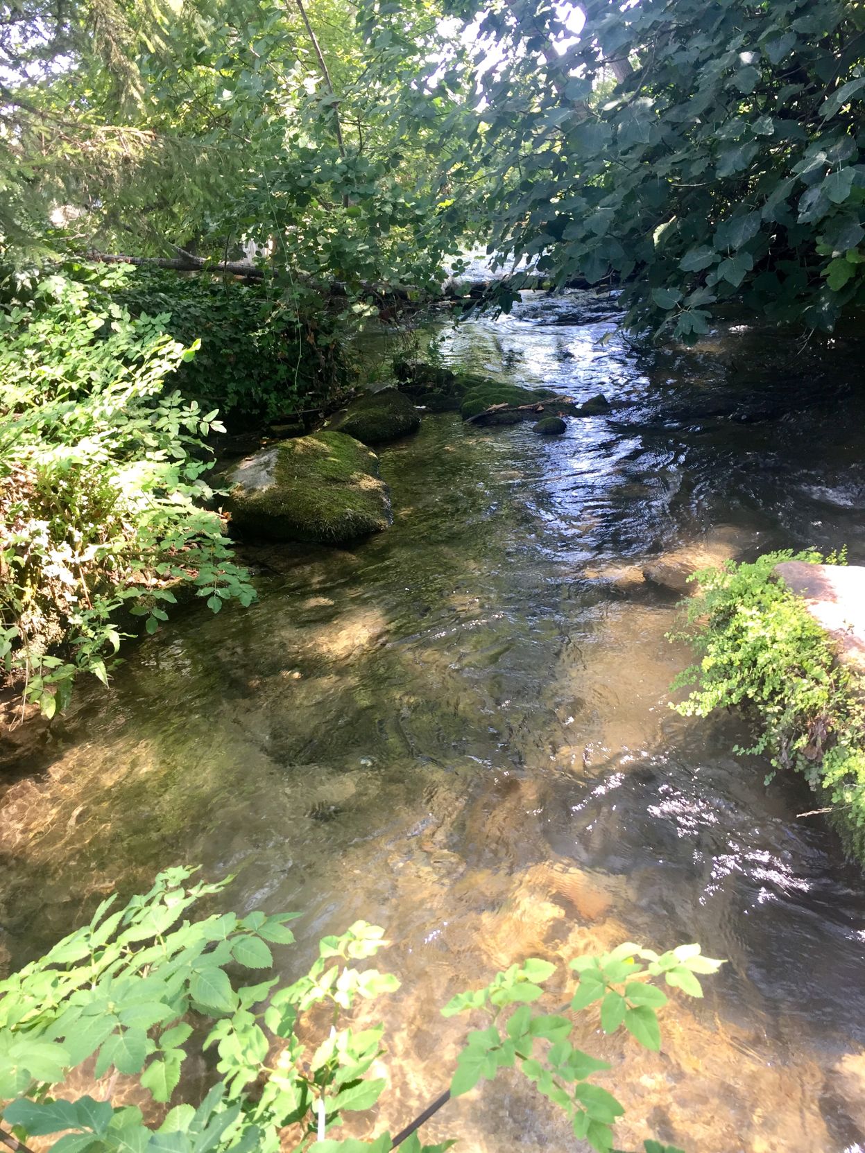 river
